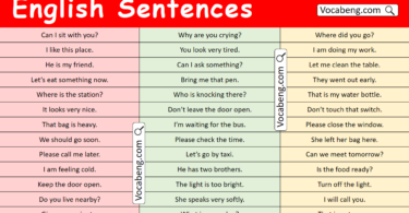 100 English Sentences for Students and Kids with Pictures
