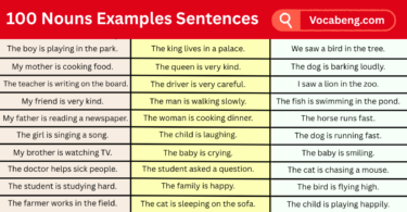 100 Nouns Examples Sentences in English with images