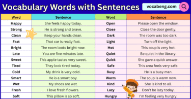100 Vocabulary words with Sentences in English and Pictures