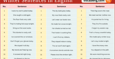 100 Winter Sentences in English with Their Pictures