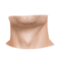 Adam’s apple | Parts of Body with Names in English