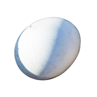 Albatross egg