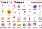 80 Flowers Names in English and their Pictures