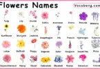 80 Flowers Names in English and their Pictures