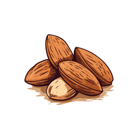 Almonds | List of Snacks Vocabulary in English