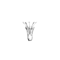 Androecium | Parts of Flowers with Names