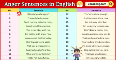 Anger Sentences in English with Pictures