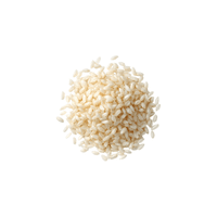 Arborio | Types of Rice with Names