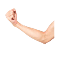 Arm | Parts of Body with Names in English