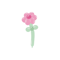 Balloon Flower