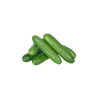Beit Alpha Cucumber | Types of Cucumbers with Names
