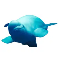 Beluga