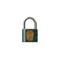 Biometric lock | Types of Locks with Names in English