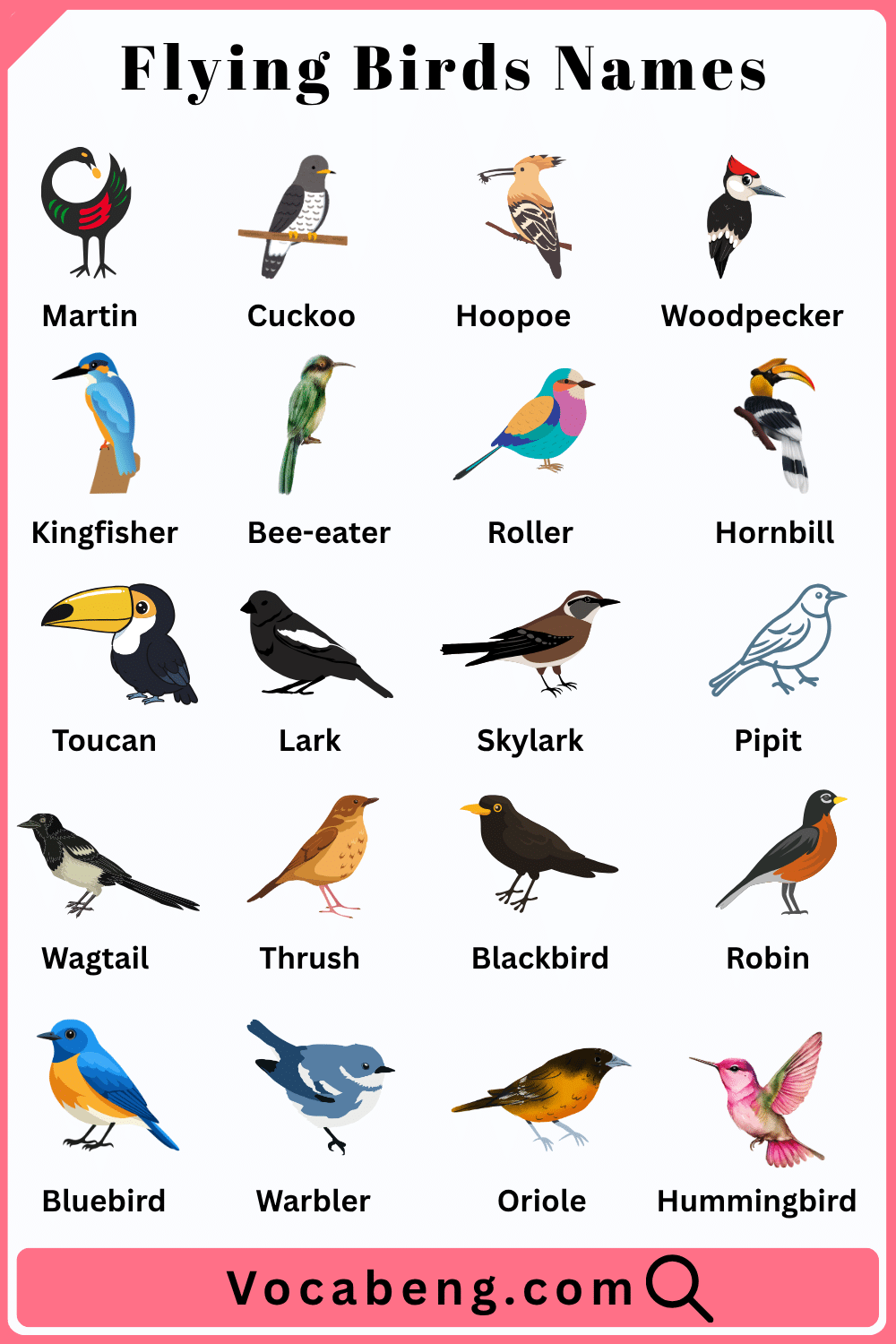 Bird Name in English and their Pictures