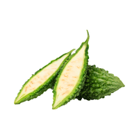 Bitter Gourd (fruit)