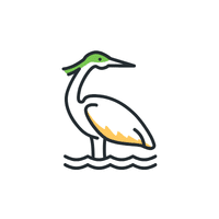 Bittern | Water Birds Names