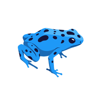 Blue Poison Frog | Types of Frogs with Names