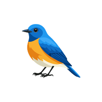Bluebird | Flying Birds Names