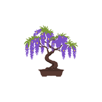 Bougainvillea | Plants and Their Names
