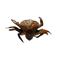 Brown Crab | Types of Crabs with Names in English
