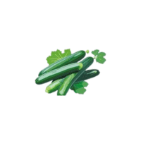 Burpless Cucumber