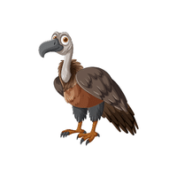 Buzzard