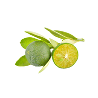 Calamansi | List of green fruits