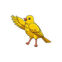 Canary | Flying Birds Names