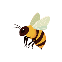 Carpenter Bee