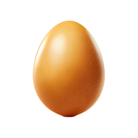 Chicken egg | Types of Eggs with Names in English