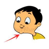 Chin