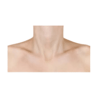 Collarbone | Parts of Body with Names in English