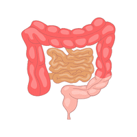 Colorectal Surgeon | Types of Doctors with Names