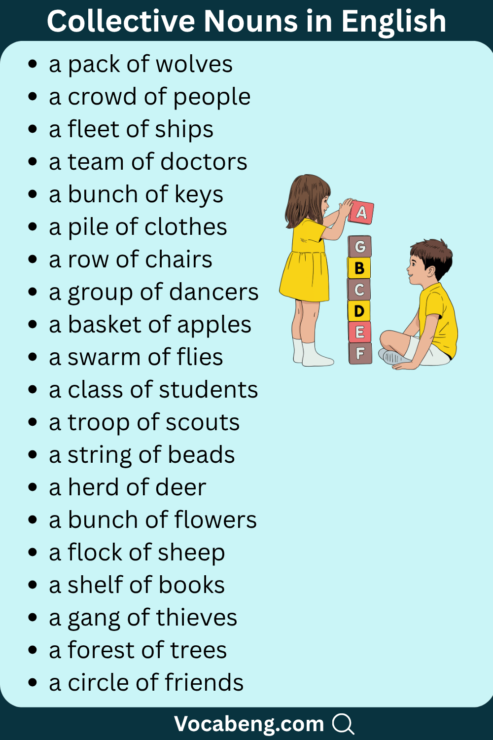 Commonly Used Group Names in Daily English