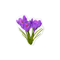 Crocus