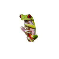 Cuban Tree Frog | Types of Frogs with Names