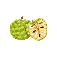 Custard Apple | List of green fruits
