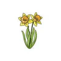 Daffodil | Plants and Their Names