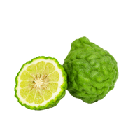 Desert Lime | List of green fruits