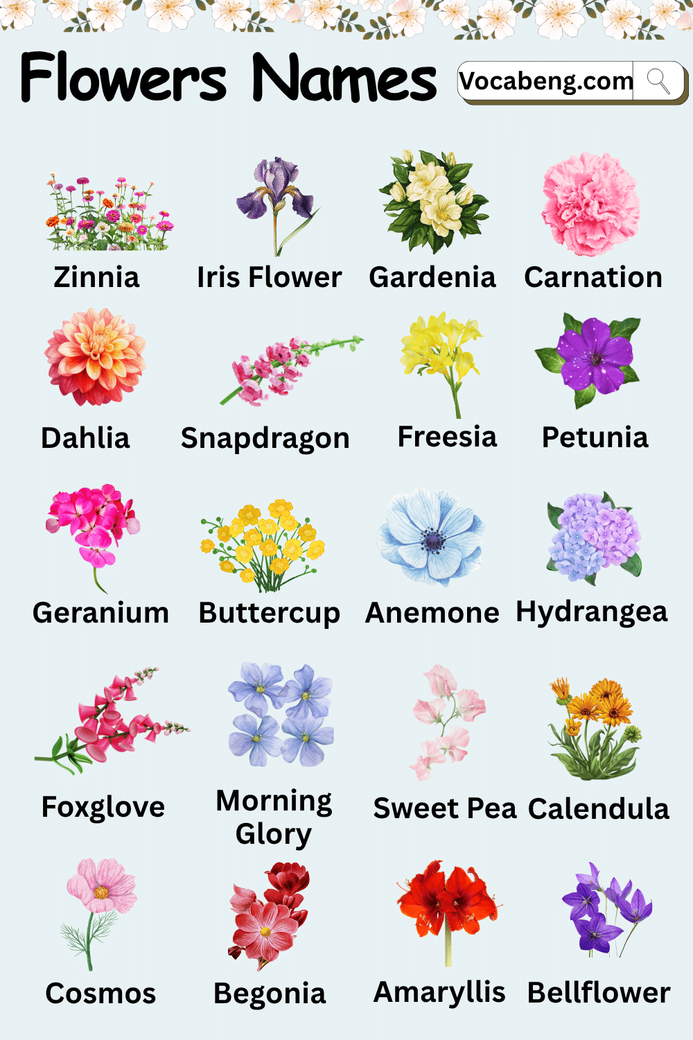 Different Types of Flower Name with Pictures