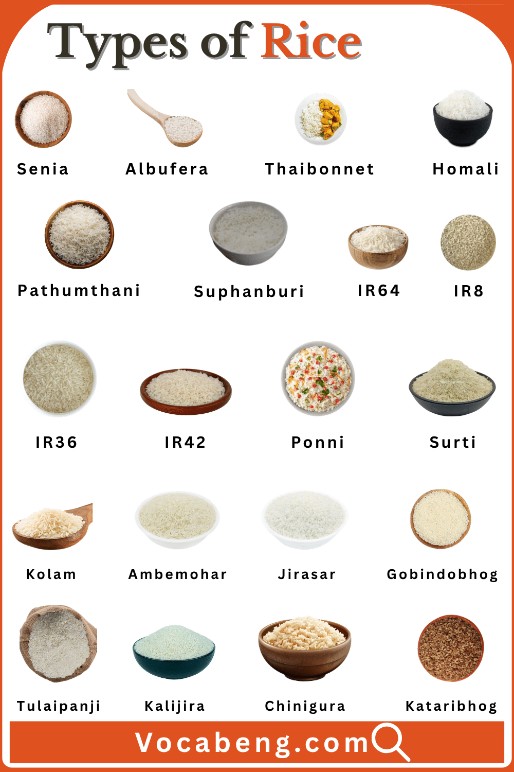 Different Types of Rice With Names in English and Images
