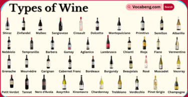 Different Types of Wine with Names in English with Their Pictures
