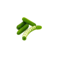 Diva Cucumber | Types of Cucumbers with Names