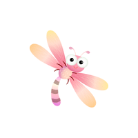 Dragonfly | Insects with Names
