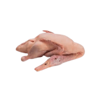 Duck meat | Types of Meats with Names
