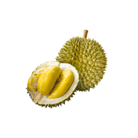 Durian (green outer shell)