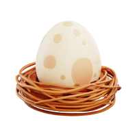 Eagle egg | Types of Eggs with Names in English