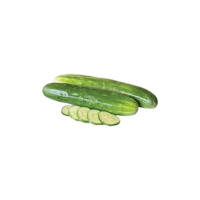 Early Pride Cucumber | Types of Cucumbers with Names