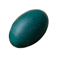Emu egg | Types of Eggs with Names in English
