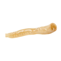 Esophagus | Parts of Bee